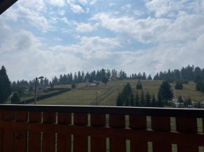 Vila Bjelopoljak - Ponijeri